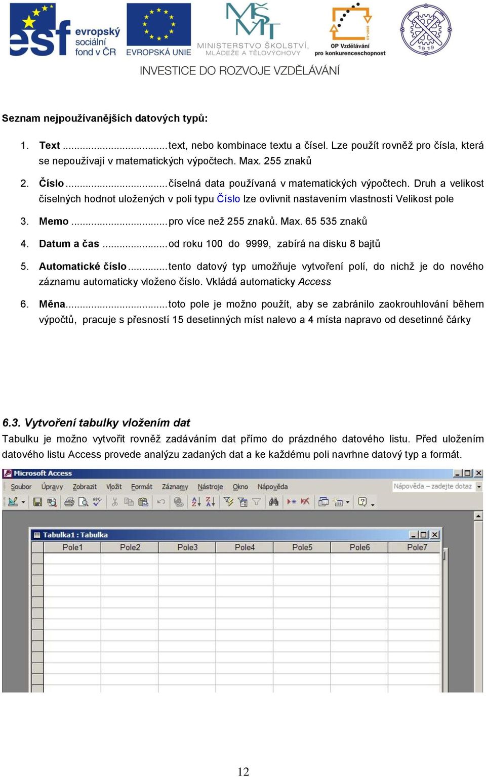 Max. 65 535 znaků 4. Datum a čas... od roku 100 do 9999, zabírá na disku 8 bajtů 5. Automatické číslo.