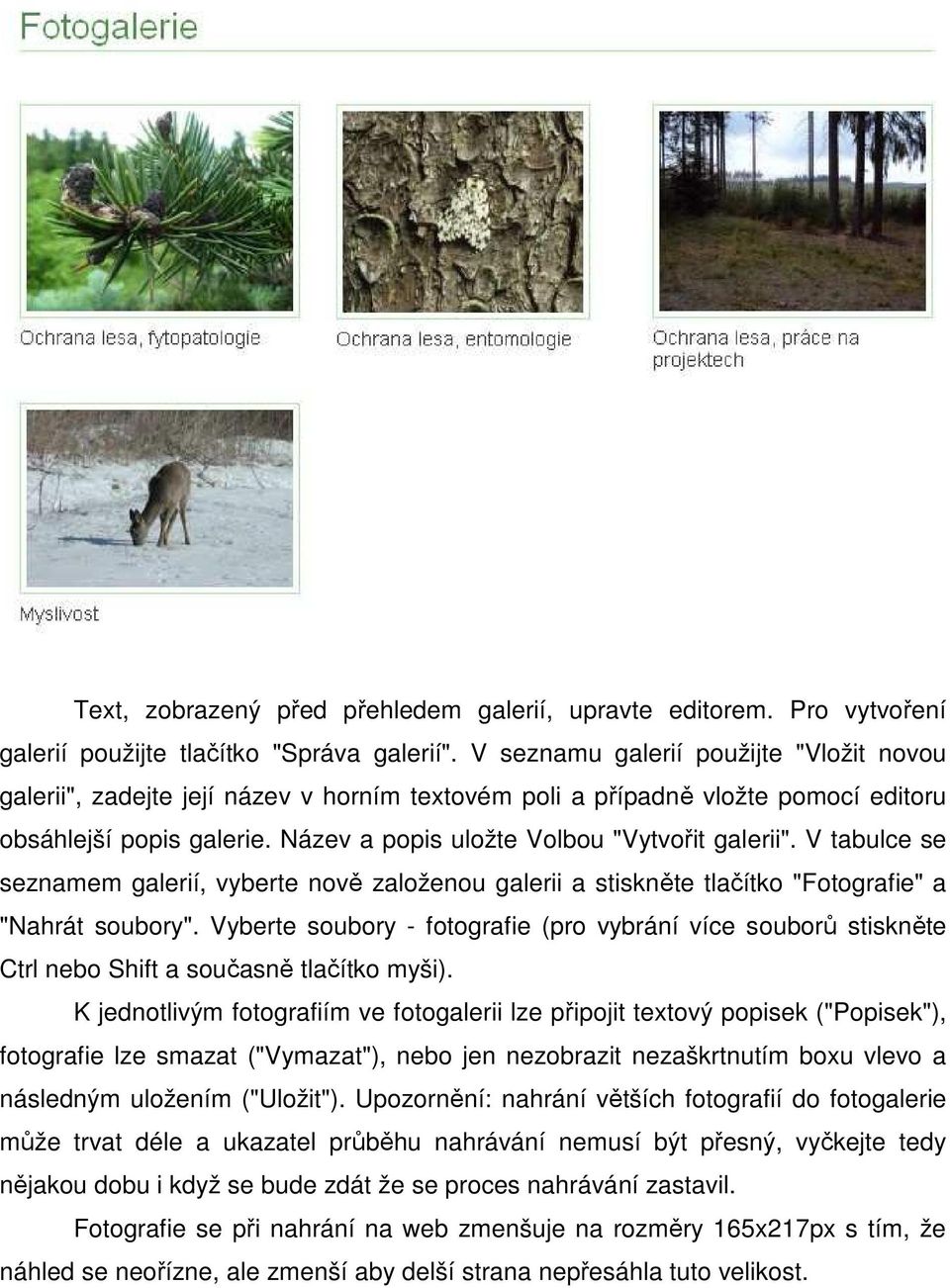 V tabulce se seznamem galerií, vyberte nově založenou galerii a stiskněte tlačítko "Fotografie" a "Nahrát soubory".