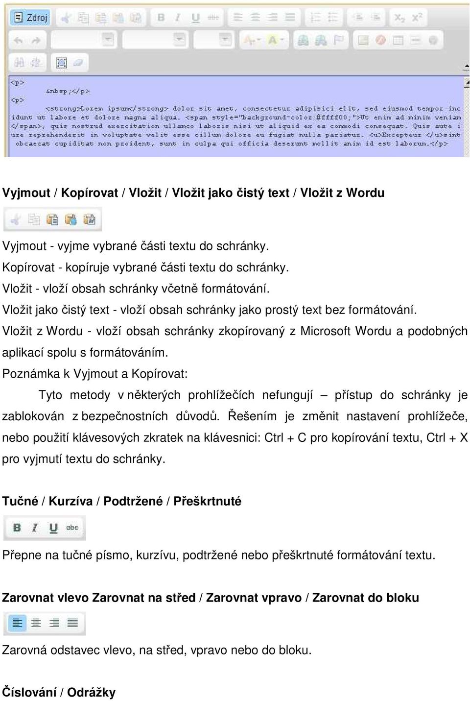 Vložit z Wordu - vloží obsah schránky zkopírovaný z Microsoft Wordu a podobných aplikací spolu s formátováním.