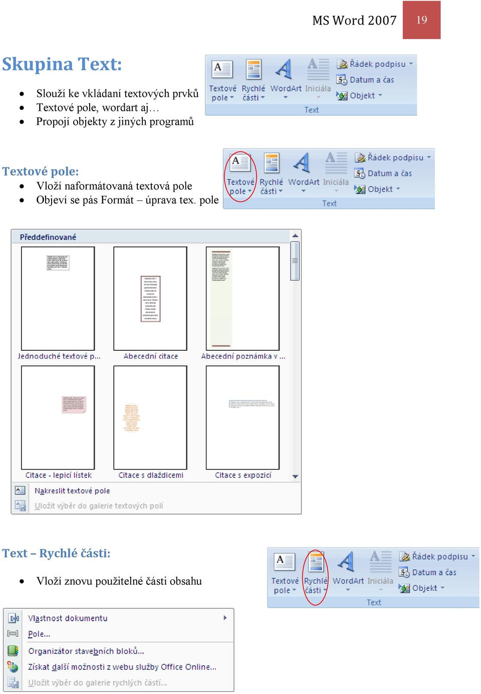 Textové pole: Vloží naformátovaná textová pole Objeví se pás