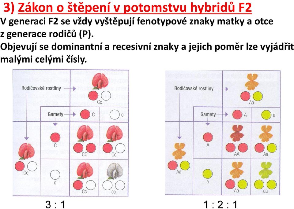 generace rodičů (P).