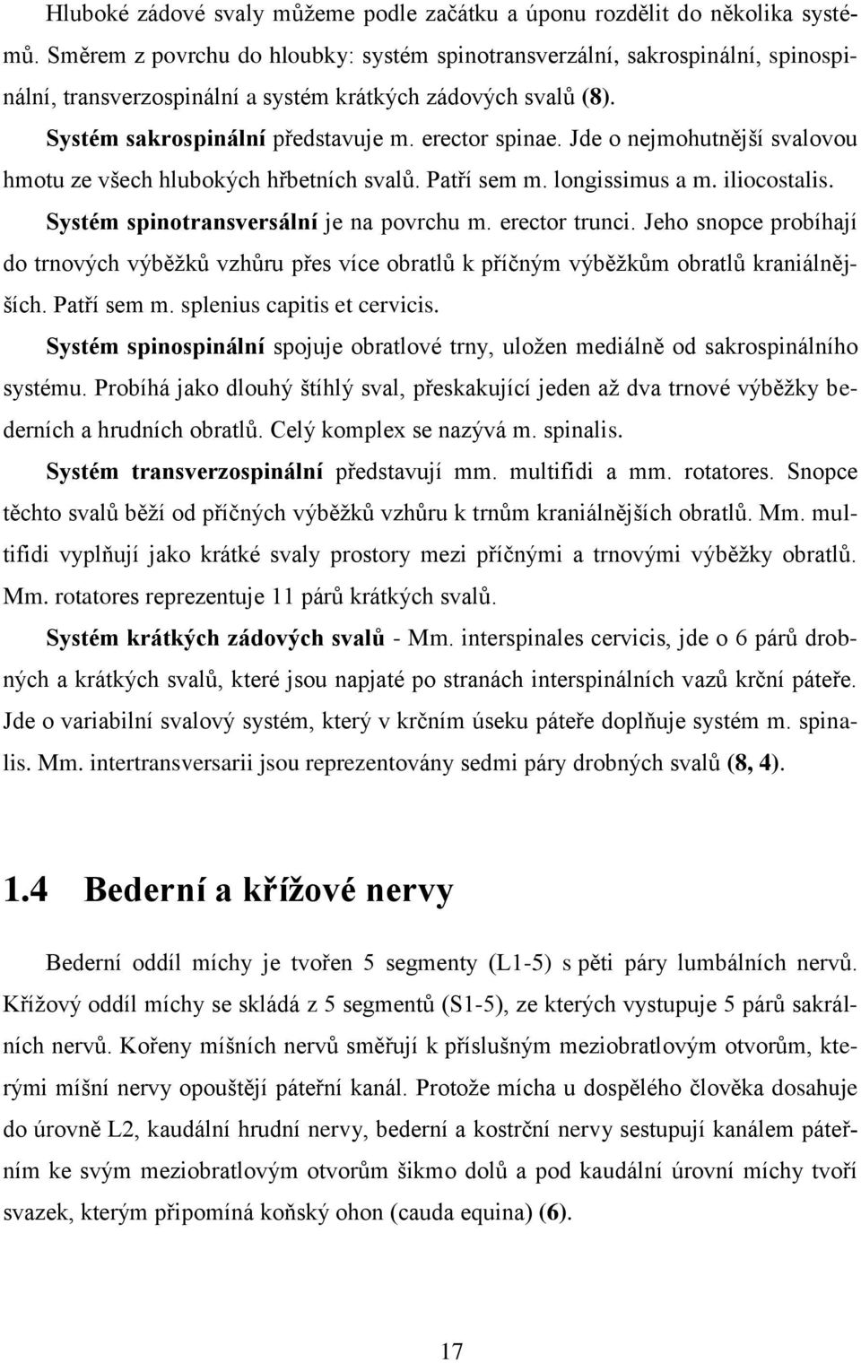 Jde o nejmohutnější svalovou hmotu ze všech hlubokých hřbetních svalů. Patří sem m. longissimus a m. iliocostalis. Systém spinotransversální je na povrchu m. erector trunci.