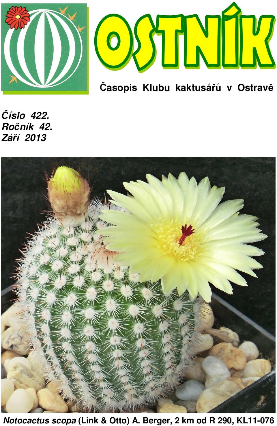 Září 2013 Notocactus scopa (Link