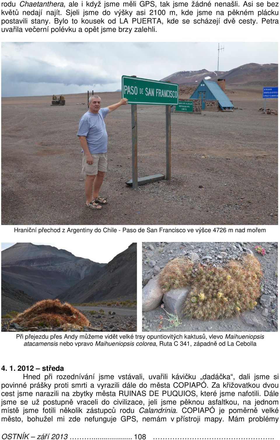 Hraniční přechod z Argentiny do Chile - Paso de San Francisco ve výšce 4726 m nad mořem Při přejezdu přes Andy můžeme vidět velké trsy opuntiovitých kaktusů, vlevo Maihueniopsis atacamensis nebo