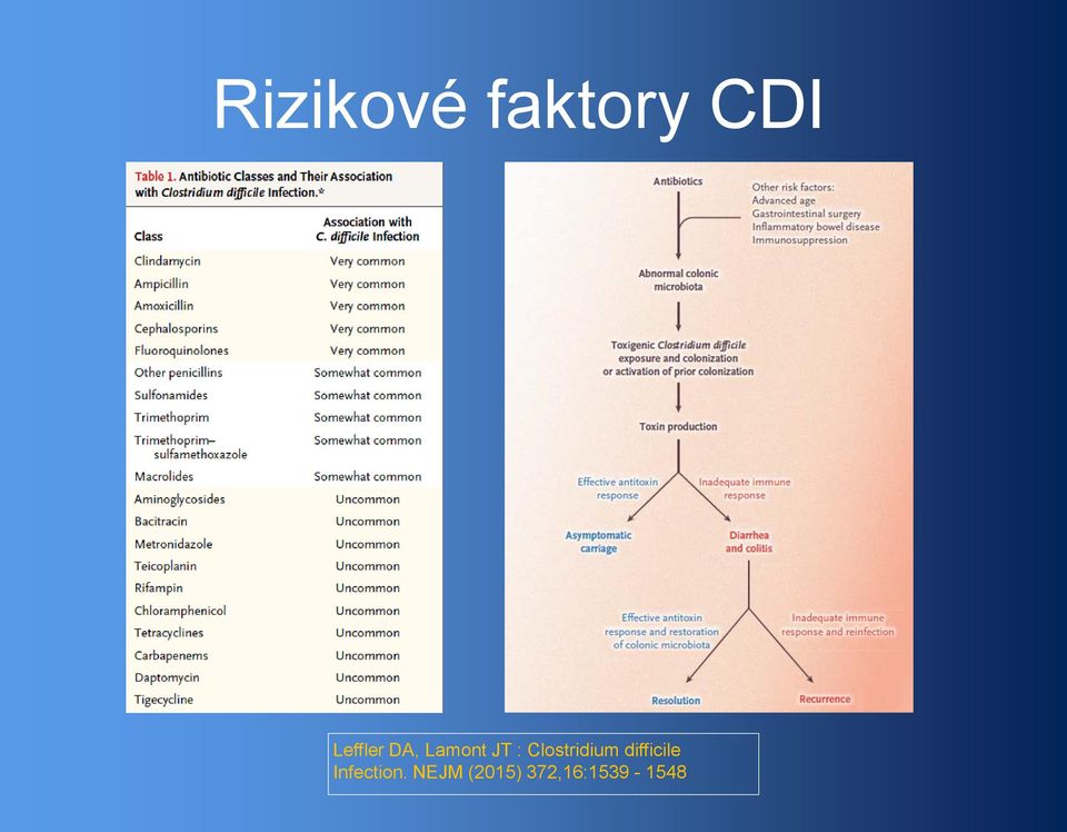 Clostridium difficile