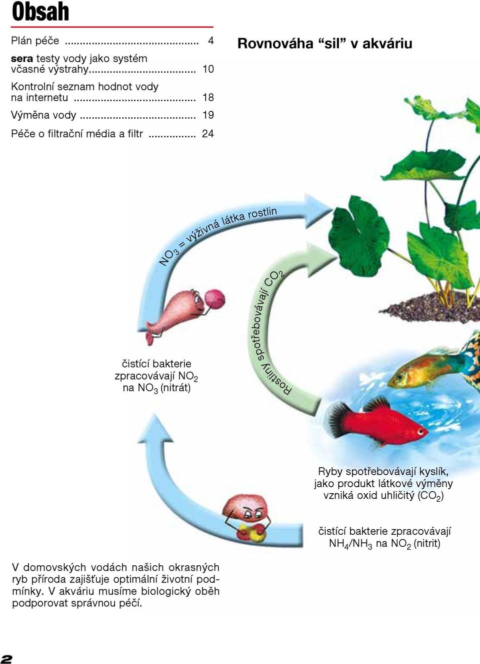 .. 24 Rovnováha sil v akváriu NO 3 = výživná látka rostlin čistící bakterie zpracovávají NO 2 na NO 3 (nitrát) Rostliny spotřebovávají CO2 Ryby