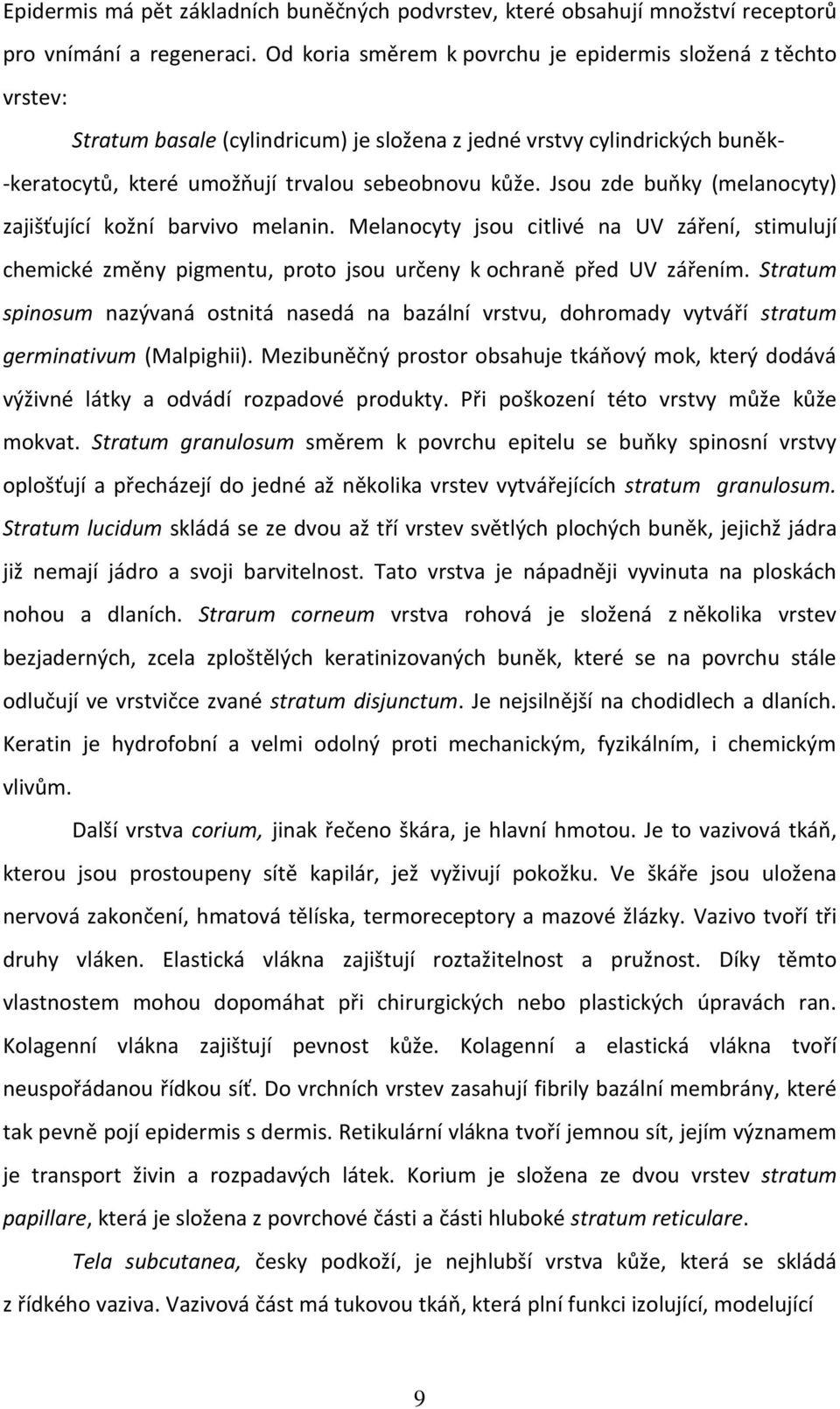 Jsou zde buňky (melanocyty) zajišťující kožní barvivo melanin. Melanocyty jsou citlivé na UV záření, stimulují chemické změny pigmentu, proto jsou určeny k ochraně před UV zářením.