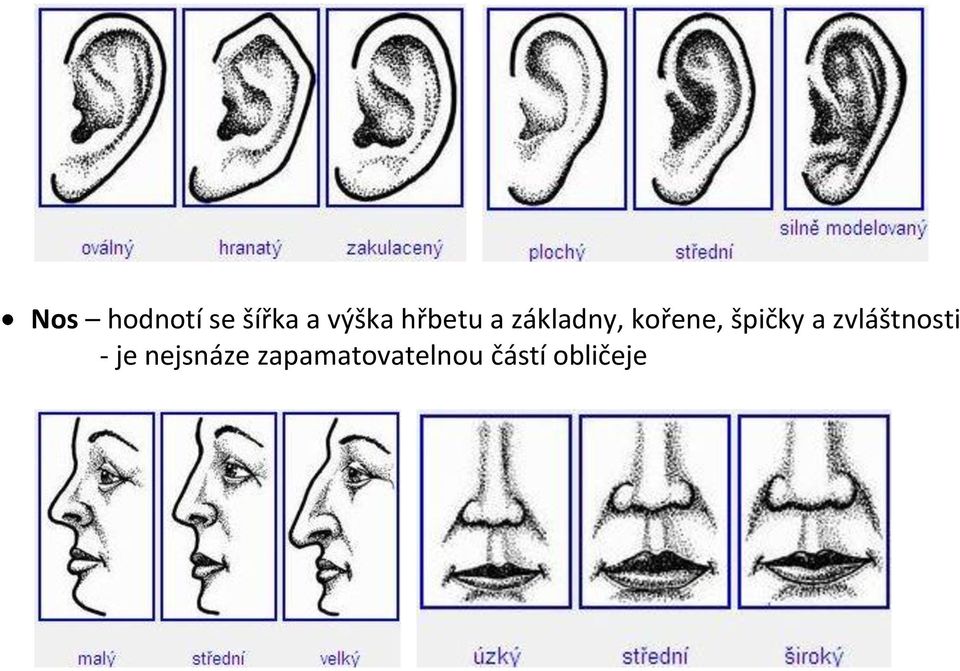 špičky a zvláštnosti - je