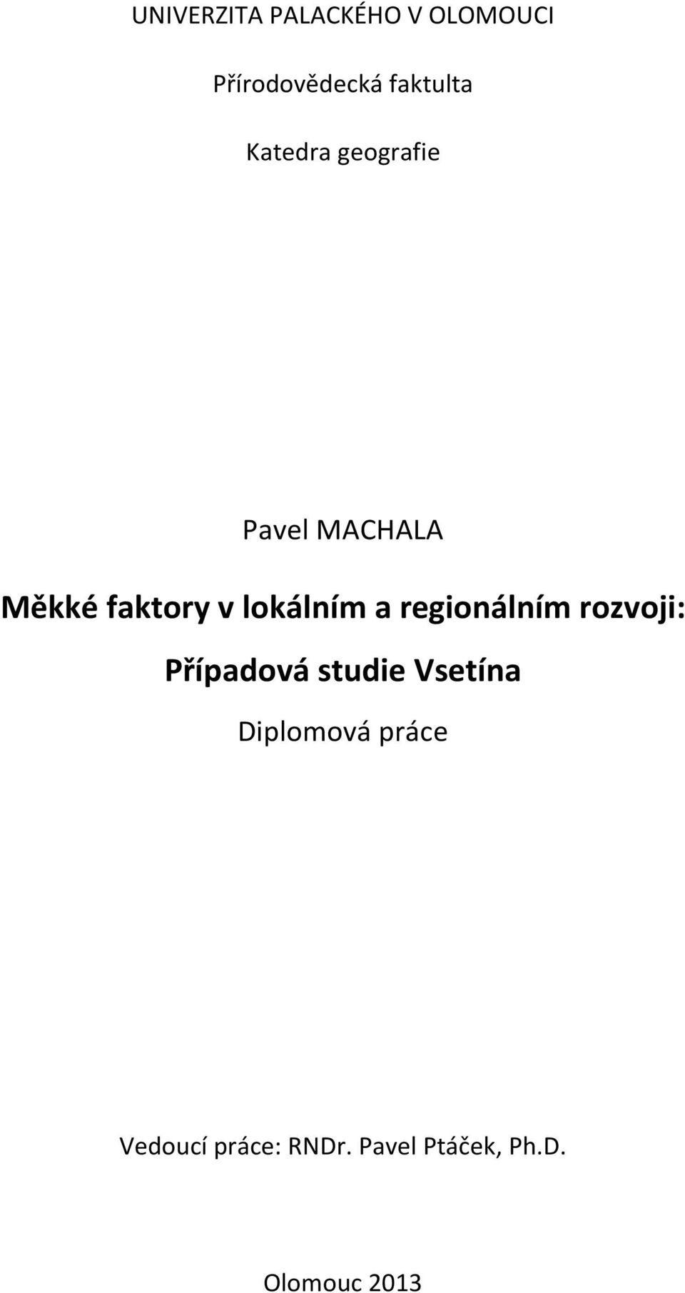 a regionálním rozvoji: Případová studie Vsetína Diplomová