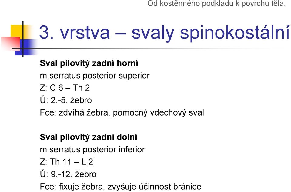 žebro Fce: zdvíhá žebra, pomocný vdechový sval Sval pilovitý zadní