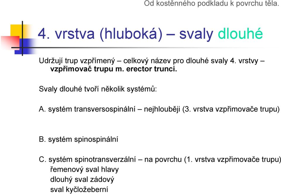 systém transversospinální nejhlouběji (3. vrstva vzpřimovače trupu) B. systém spinospinální C.