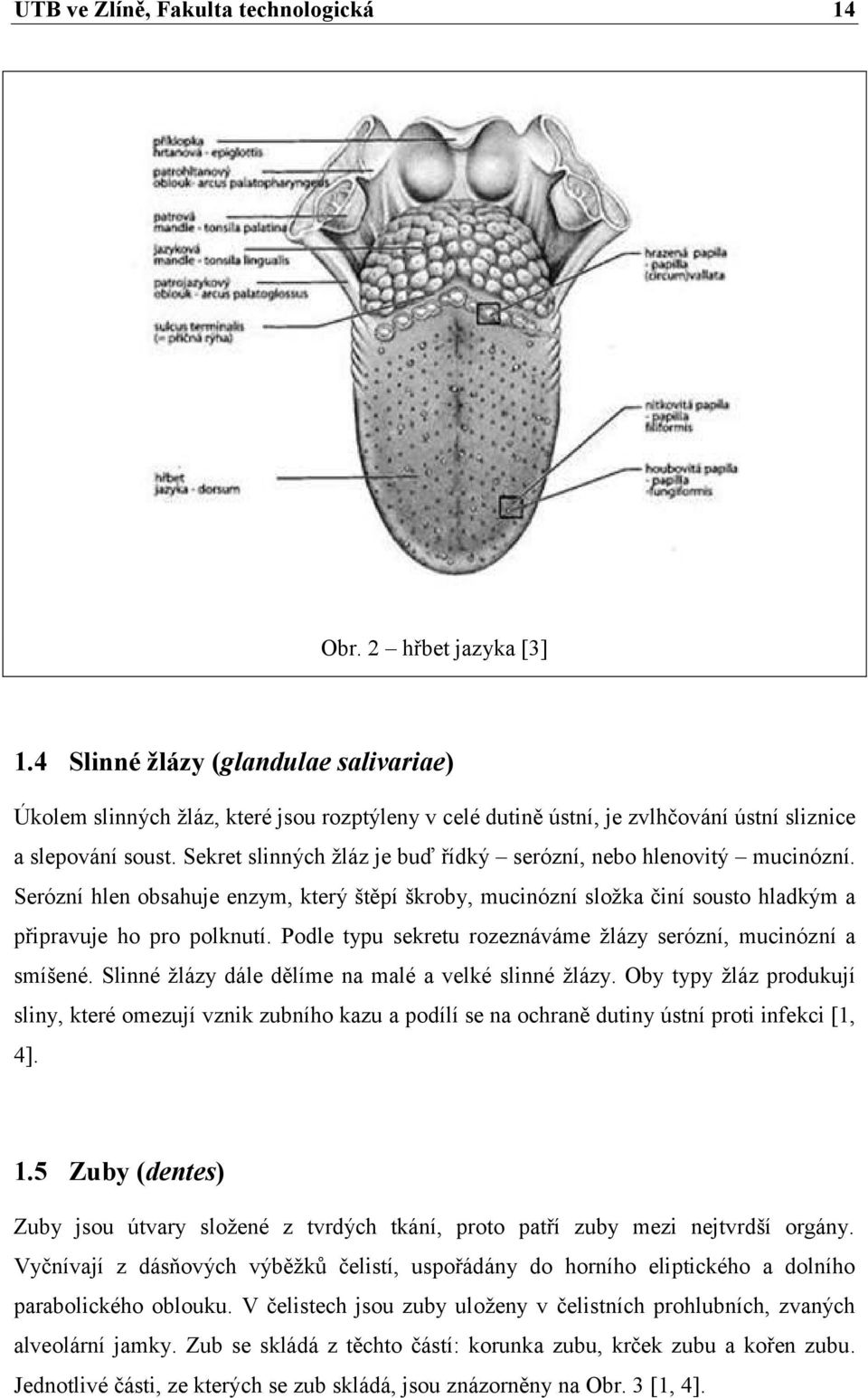 Sekret slinných žláz je buď řídký serózní, nebo hlenovitý mucinózní. Serózní hlen obsahuje enzym, který štěpí škroby, mucinózní složka činí sousto hladkým a připravuje ho pro polknutí.