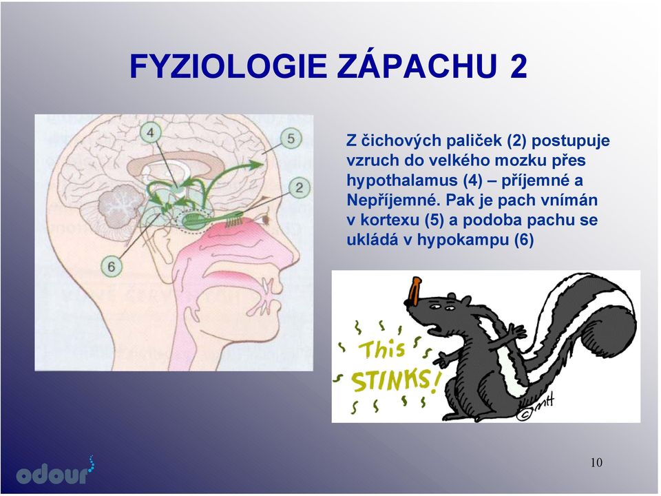 hypothalamus (4) příjemné a Nepříjemné.