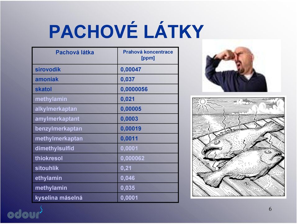 sitouhlík ethylamin methylamin kyselina máselná Prahová koncentrace [ppm] 0,00047