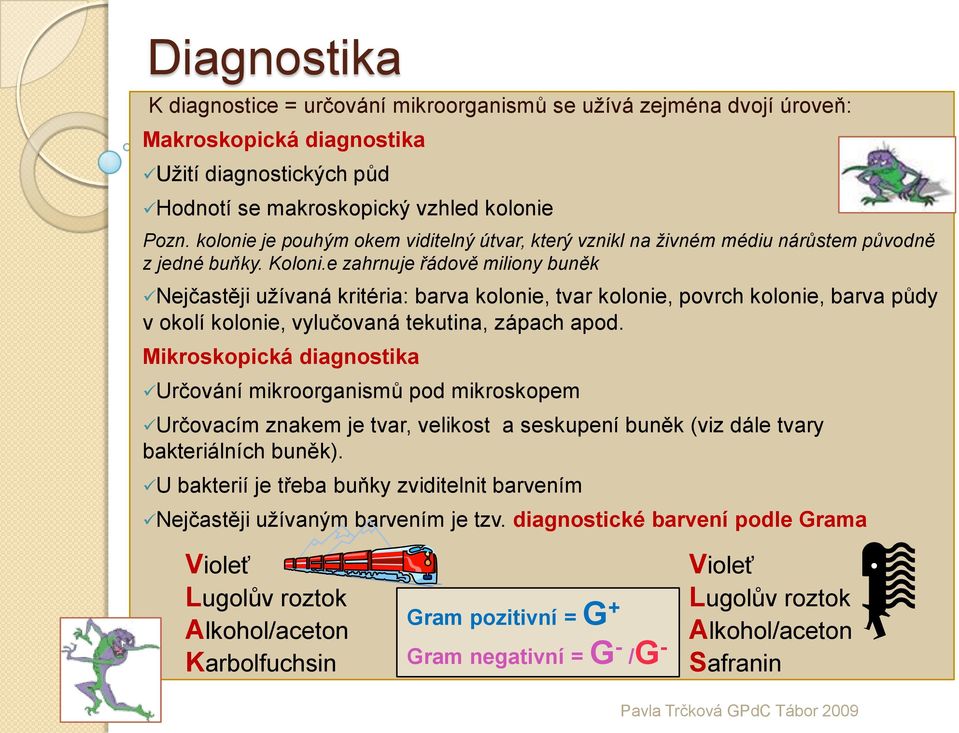 e zahrnuje řádově miliony buněk Nejčastěji užívaná kritéria: barva kolonie, tvar kolonie, povrch kolonie, barva půdy v okolí kolonie, vylučovaná tekutina, zápach apod.