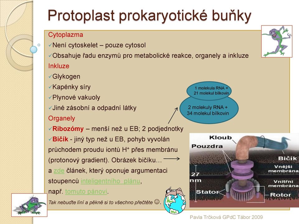 vyvolán průchodem proudu iontů H + přes membránu (protonový gradient).