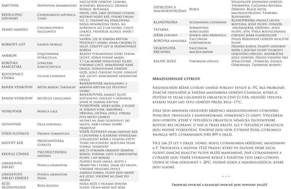 MUSA basjoo 'Sakhalin' MUSELLA lasiocarpa Myrica gale Olea europaea Prunus tomentosa PROSTANTHERA cuneata PSEUDOCYDONIA sinensis Punica granatum Punica granatum Nana Rosa rugosa nejčastější odrůdy: