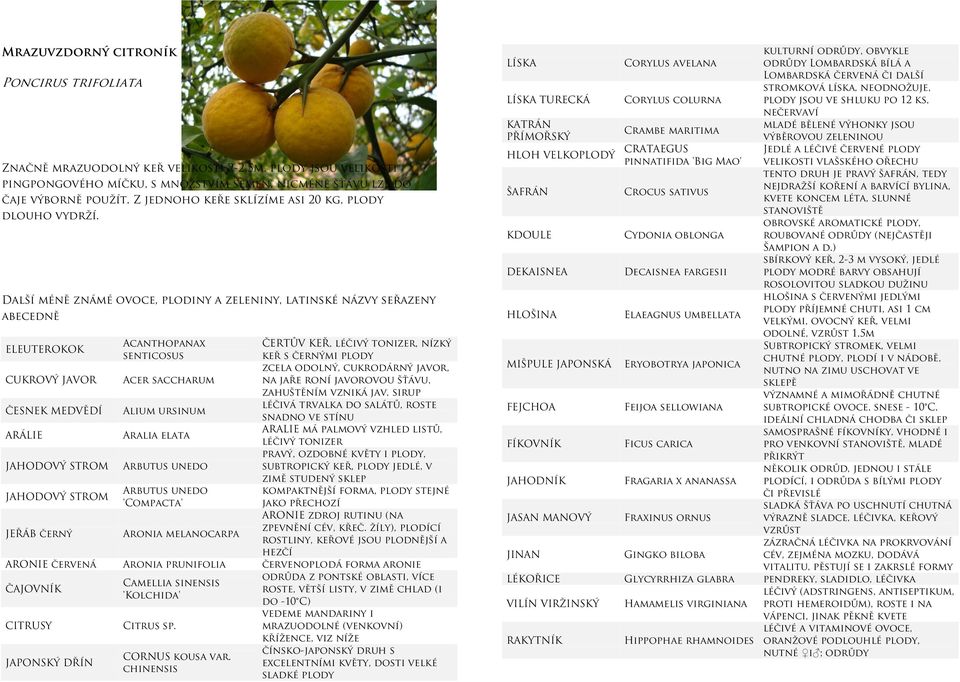 Další méně známé ovoce, plodiny a zeleniny, latinské názvy seřazeny abecedně ELEUTEROKOK Acanthopanax ČERTŮV KEŘ, léčivý tonizer, nízký senticosus keř s černými plody CUKROVÝ JAVOR Acer saccharum