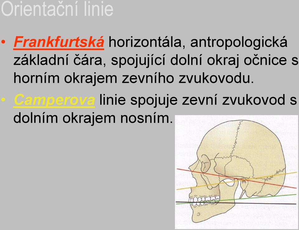 okraj očnice s horním okrajem zevního zvukovodu.
