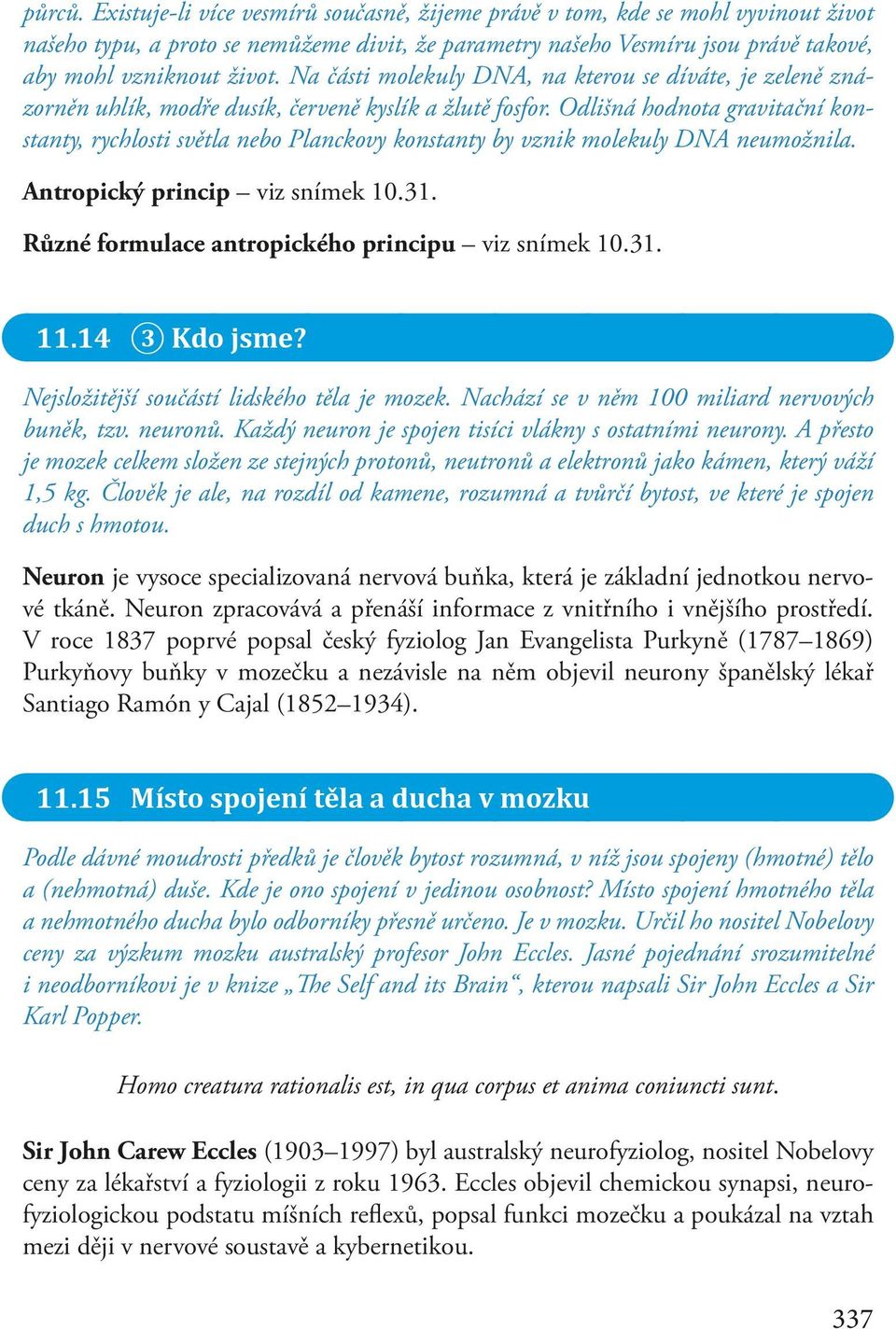 Na části molekuly DNA, na kterou se díváte, je zeleně znázorněn uhlík, modře dusík, červeně kyslík a žlutě fosfor.