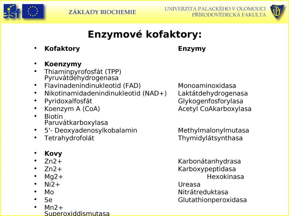 Flavinadenindinukleotid (FAD) Monoaminoxidasa ikotinamidadenindinukleotid (AD+) Laktátdehydrogenasa Pyridoxalfosfát