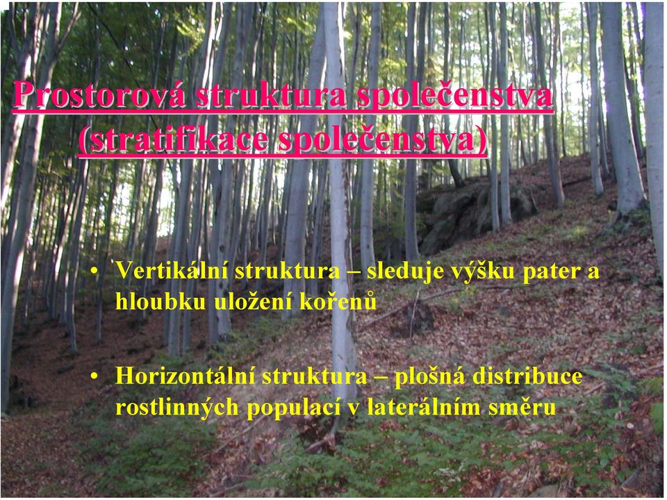 výšku pater a hloubku uložení kořenů Horizontální