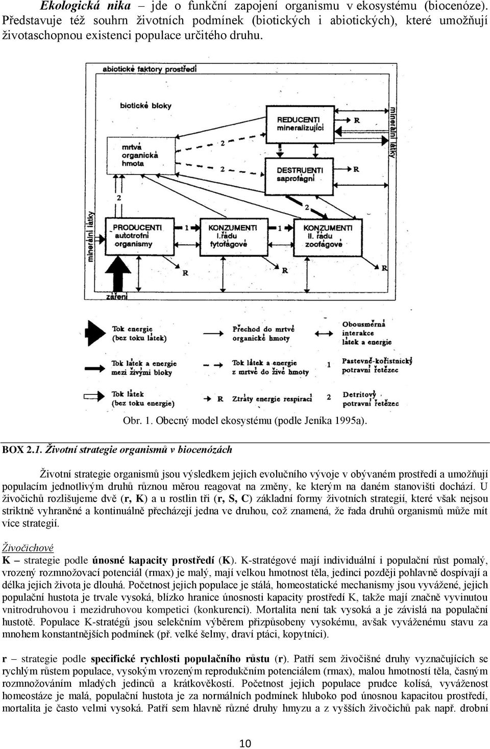 Obecný model ekosystému (podle Jeníka 1995a).