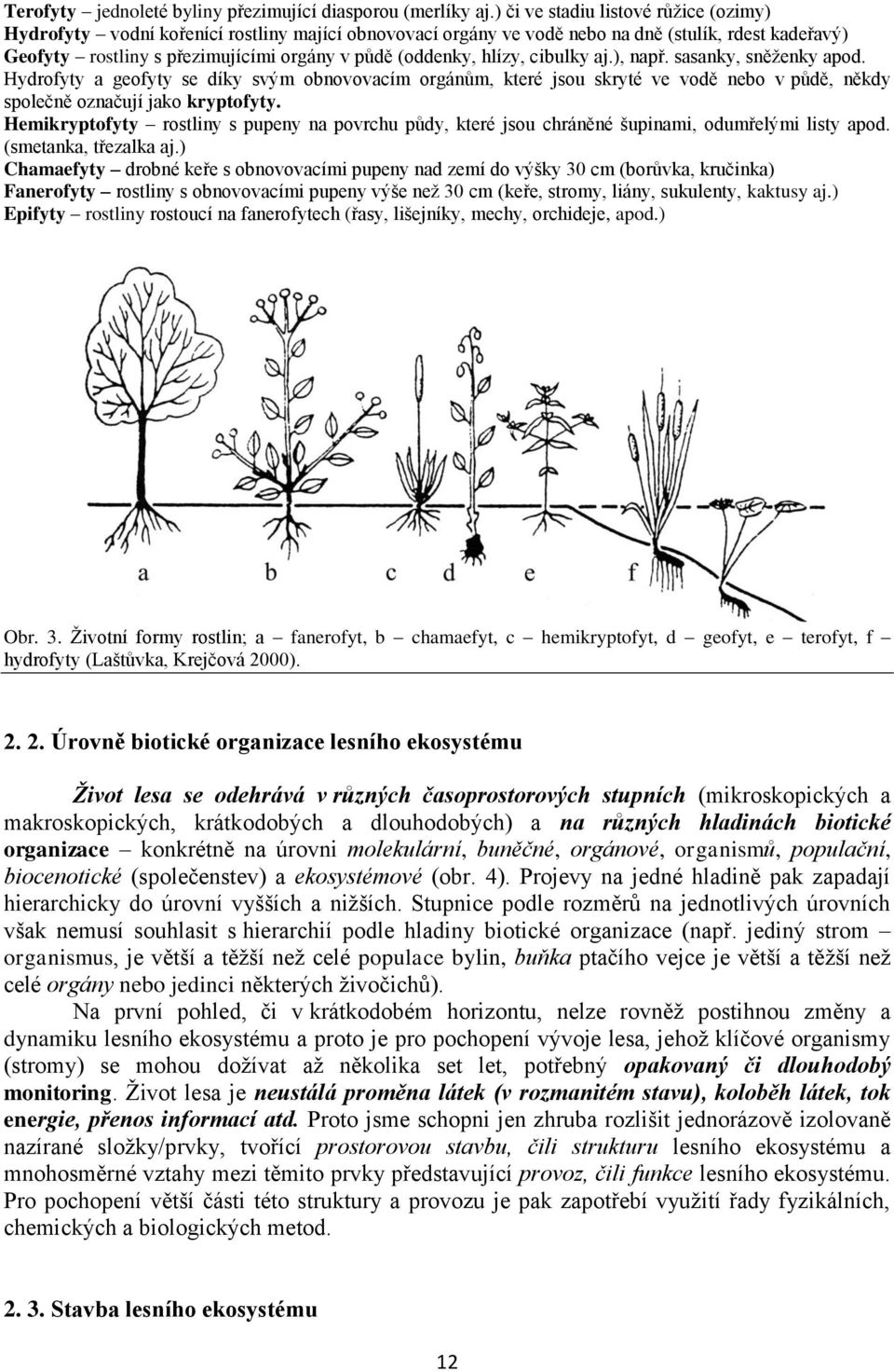 hlízy, cibulky aj.), např. sasanky, sněženky apod. Hydrofyty a geofyty se díky svým obnovovacím orgánům, které jsou skryté ve vodě nebo v půdě, někdy společně označují jako kryptofyty.