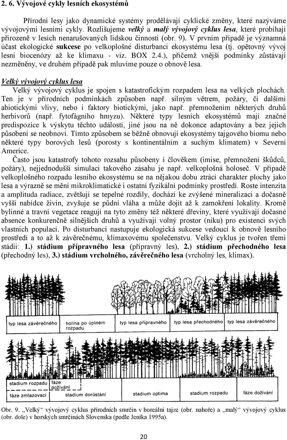 V prvním případě je významná účast ekologické sukcese po velkoplošné disturbanci ekosystému lesa (tj. opětovný vývoj lesní biocenózy až ke klimaxu - viz. BOX 2.4.