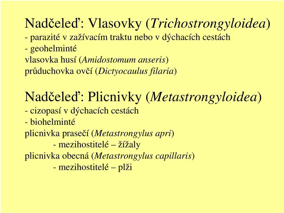 Plicnivky (Metastrongyloidea) - cizopasí v dýchacích cestách - biohelminté plicnivka prasečí