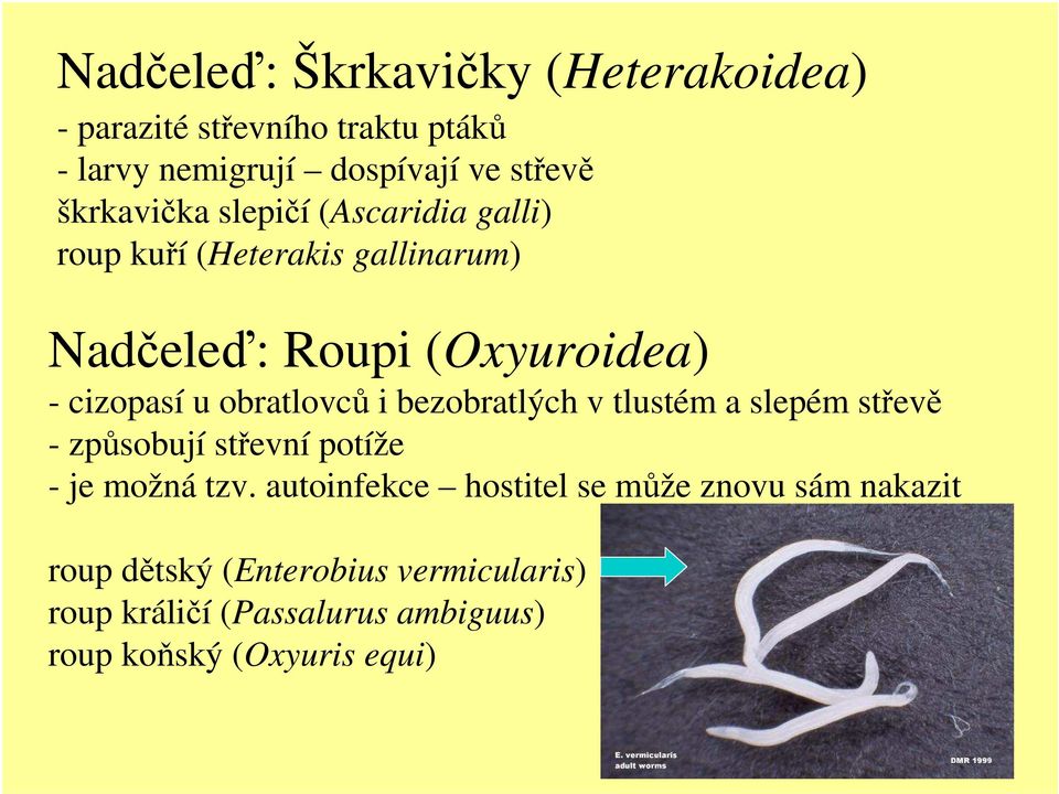 obratlovců i bezobratlých v tlustém a slepém střevě - způsobují střevní potíže - je možná tzv.