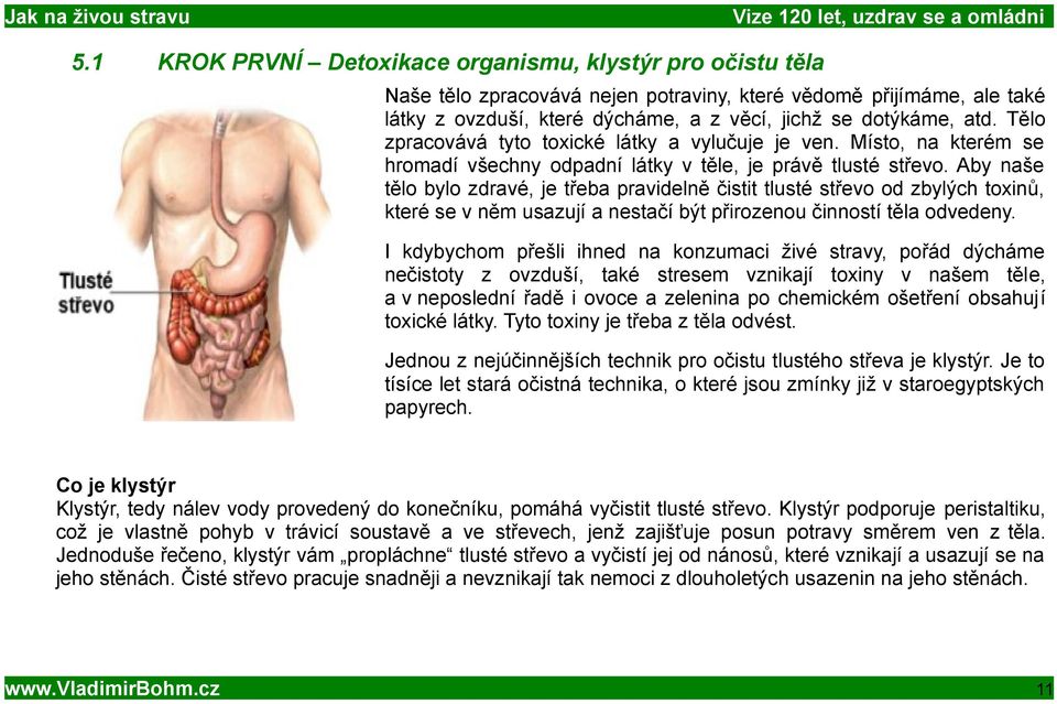 Aby naše tělo bylo zdravé, je třeba pravidelně čistit tlusté střevo od zbylých toxinů, které se v něm usazují a nestačí být přirozenou činností těla odvedeny.