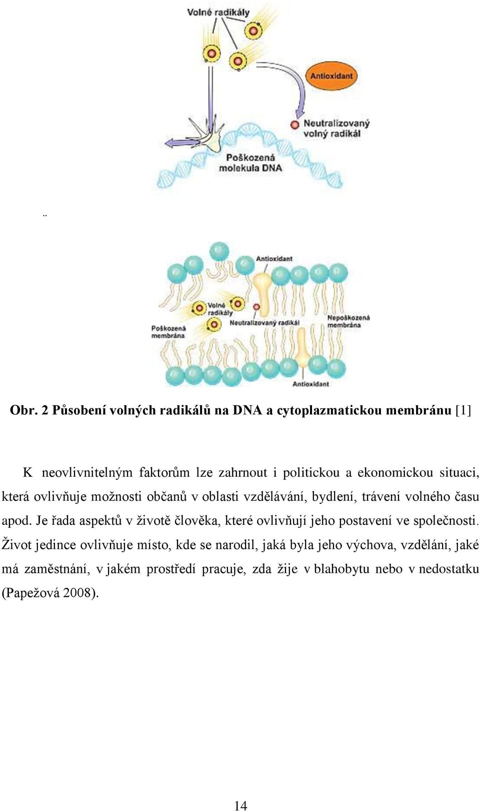 Je řada aspektŧ v ţivotě člověka, které ovlivňují jeho postavení ve společnosti.