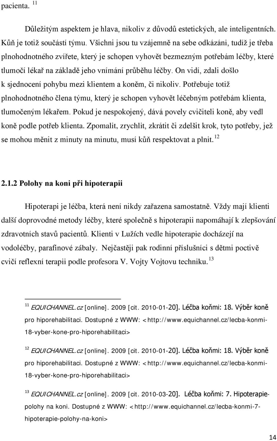 On vidí, zdali došlo k sjednocení pohybu mezi klientem a koněm, či nikoliv. Potřebuje totiž plnohodnotného člena týmu, který je schopen vyhovět léčebným potřebám klienta, tlumočeným lékařem.