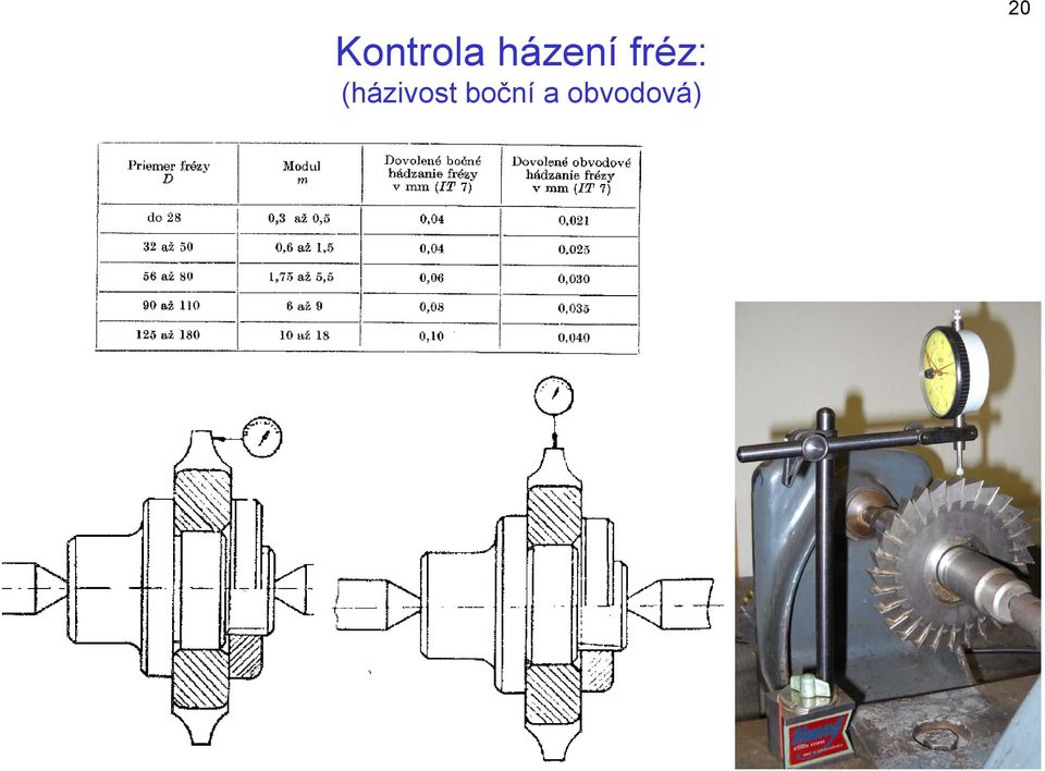 (házivost