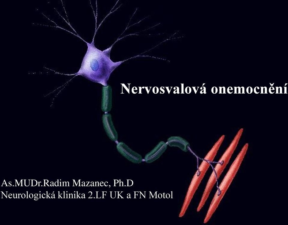 D Neurologická klinika