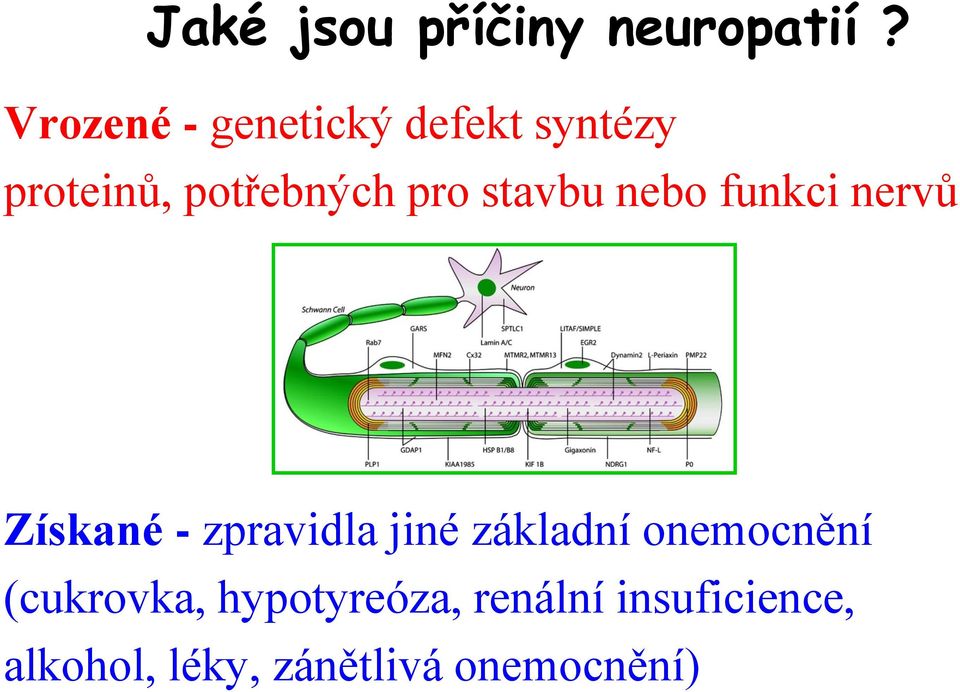 stavbu nebo funkci nervů Získané - zpravidla jiné základní