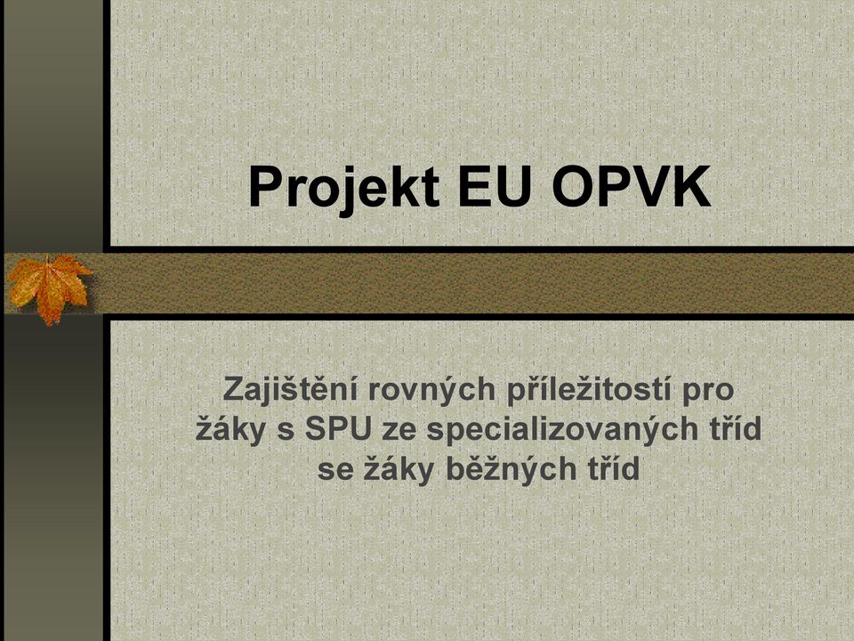 žáky s SPU ze