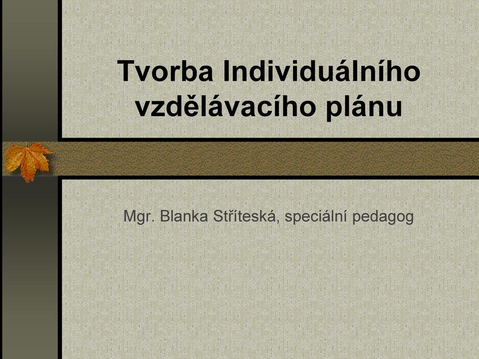 vzdělávacího plánu