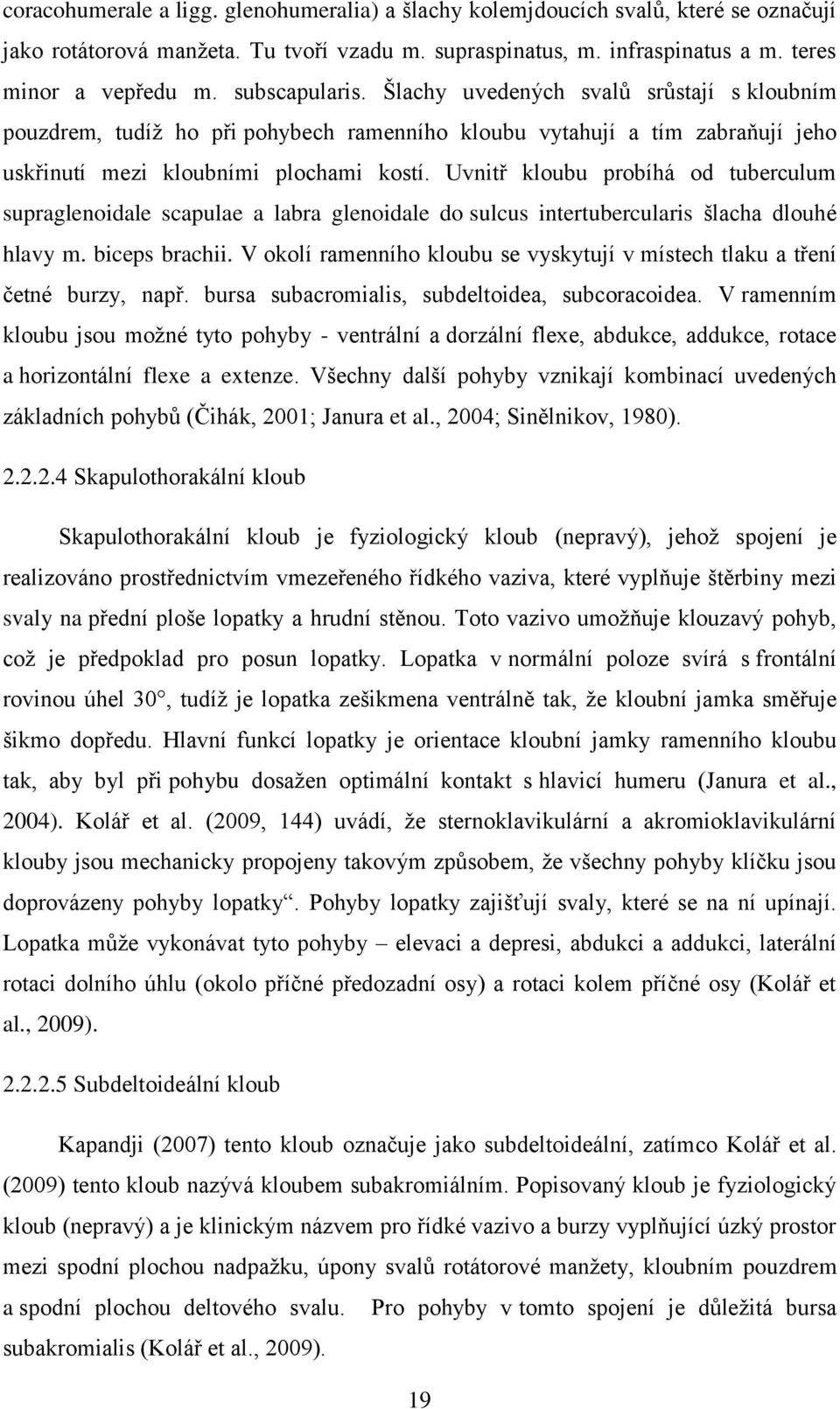 Uvnitř kloubu probíhá od tuberculum supraglenoidale scapulae a labra glenoidale do sulcus intertubercularis šlacha dlouhé hlavy m. biceps brachii.