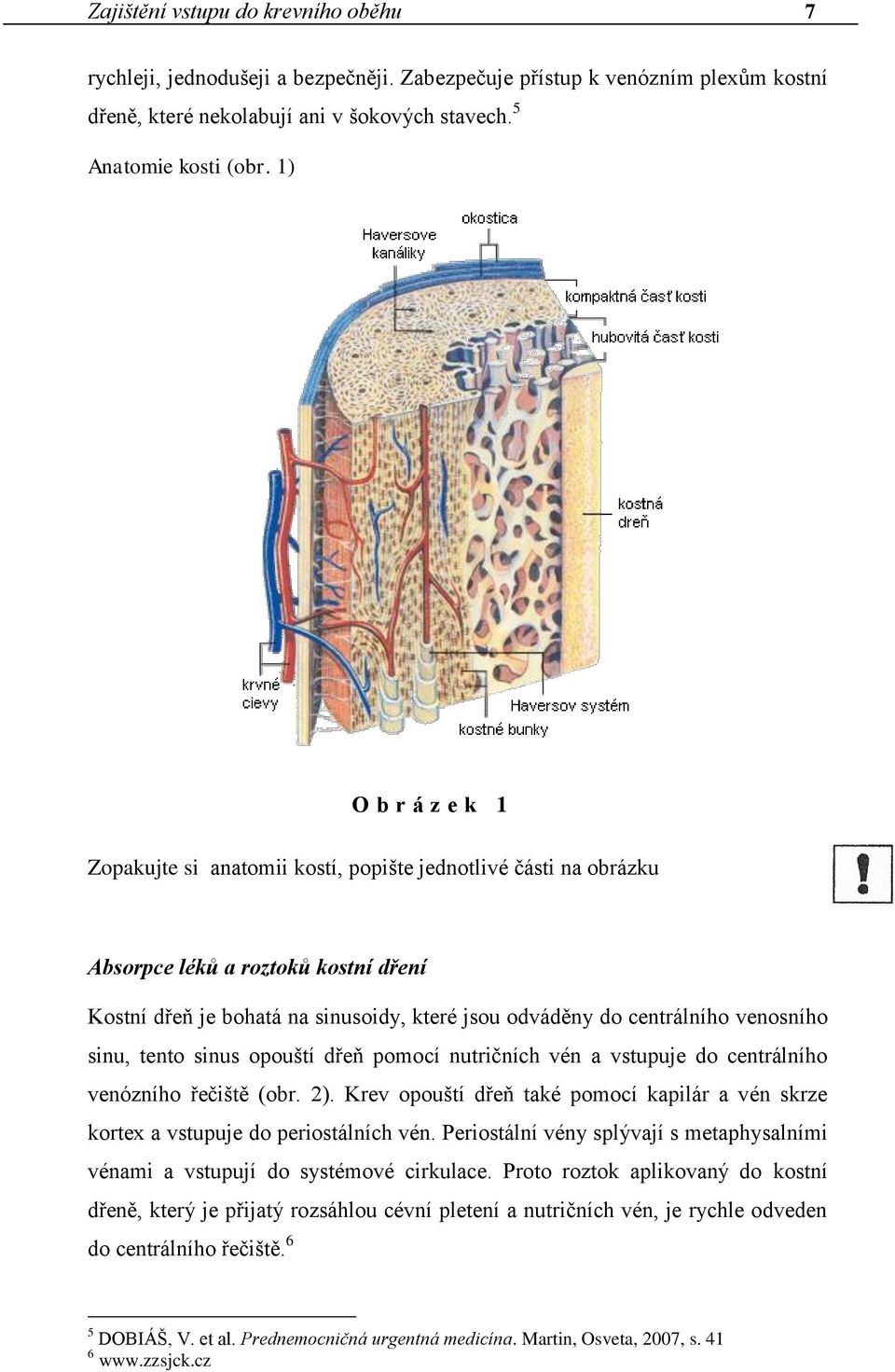 venosního sinu, tento sinus opouští dřeň pomocí nutričních vén a vstupuje do centrálního venózního řečiště (obr. 2).