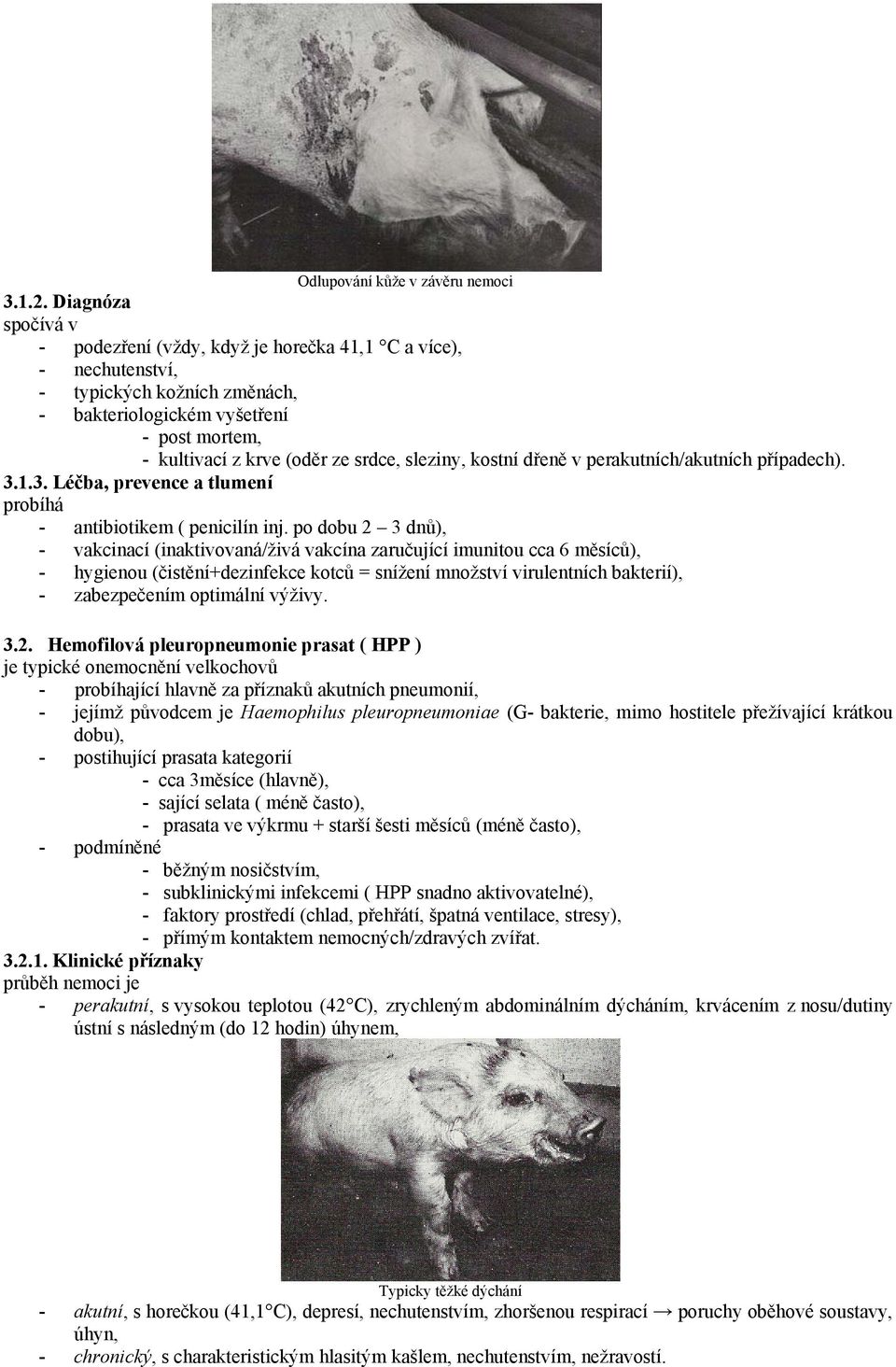 sleziny, kostní dřeně v perakutních/akutních případech). 3.1.3. Léčba, prevence a tlumení probíhá - antibiotikem ( penicilín inj.