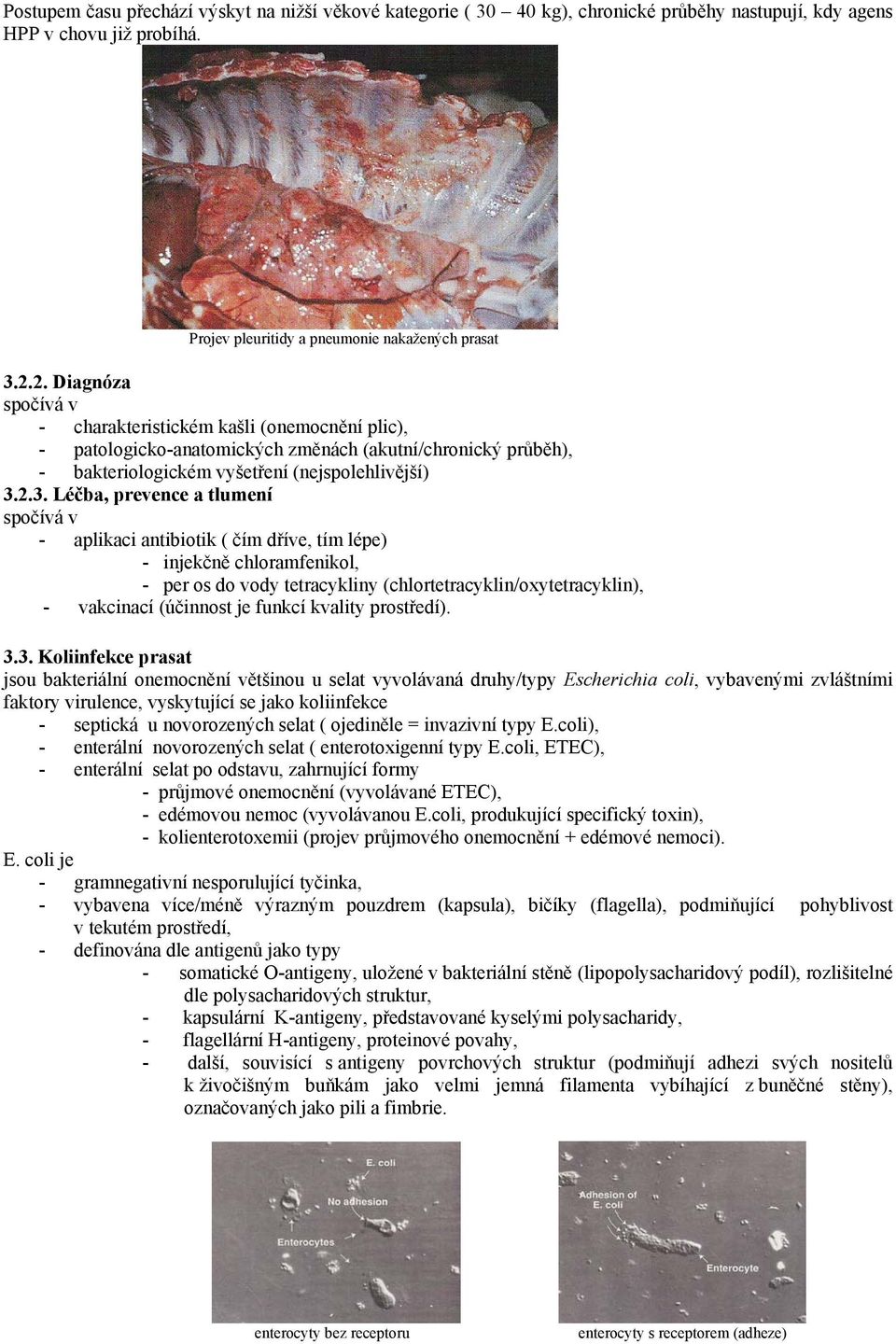 2.3. Léčba, prevence a tlumení spočívá v - aplikaci antibiotik ( čím dříve, tím lépe) - injekčně chloramfenikol, - per os do vody tetracykliny (chlortetracyklin/oxytetracyklin), - vakcinací (účinnost