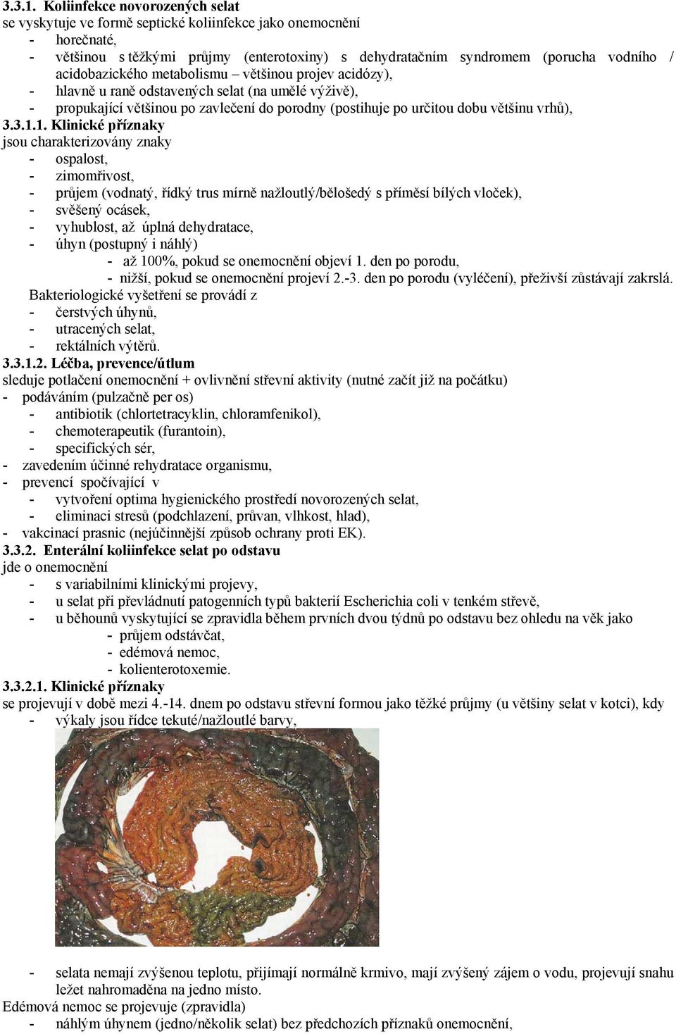 acidobazického metabolismu většinou projev acidózy), - hlavně u raně odstavených selat (na umělé výživě), - propukající většinou po zavlečení do porodny (postihuje po určitou dobu většinu vrhů), 1.