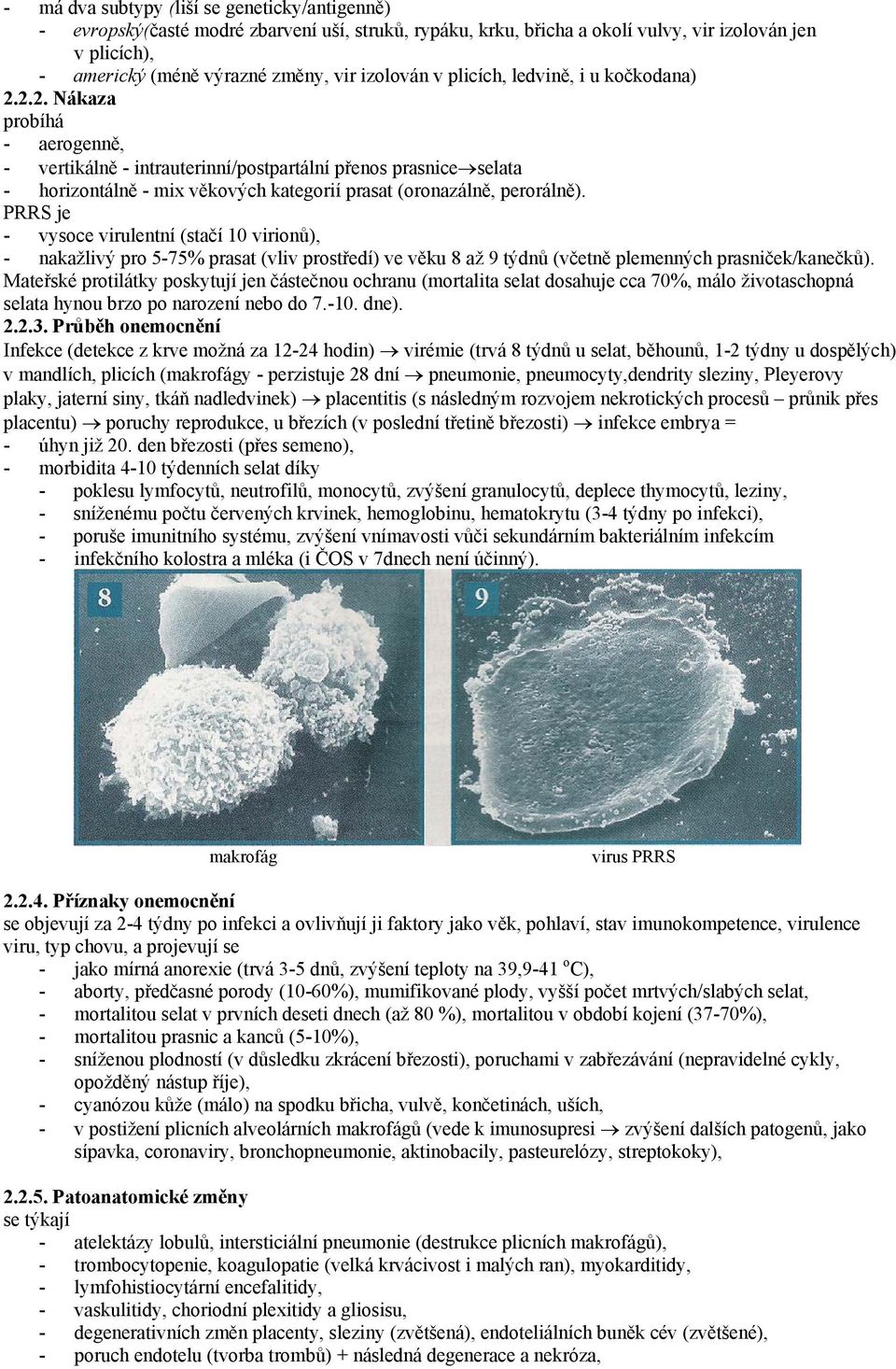 2.2. Nákaza probíhá - aerogenně, - vertikálně - intrauterinní/postpartální přenos prasnice selata - horizontálně - mix věkových kategorií prasat (oronazálně, perorálně).