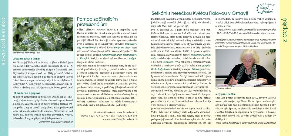 Tento komplex obsahuje silybinin A, silybinin B, isosilybinin A, isosilybinin B, silydianin, silychristin, taxifolin všechny tyto látky jsou vysoce hepatoprotektivní.