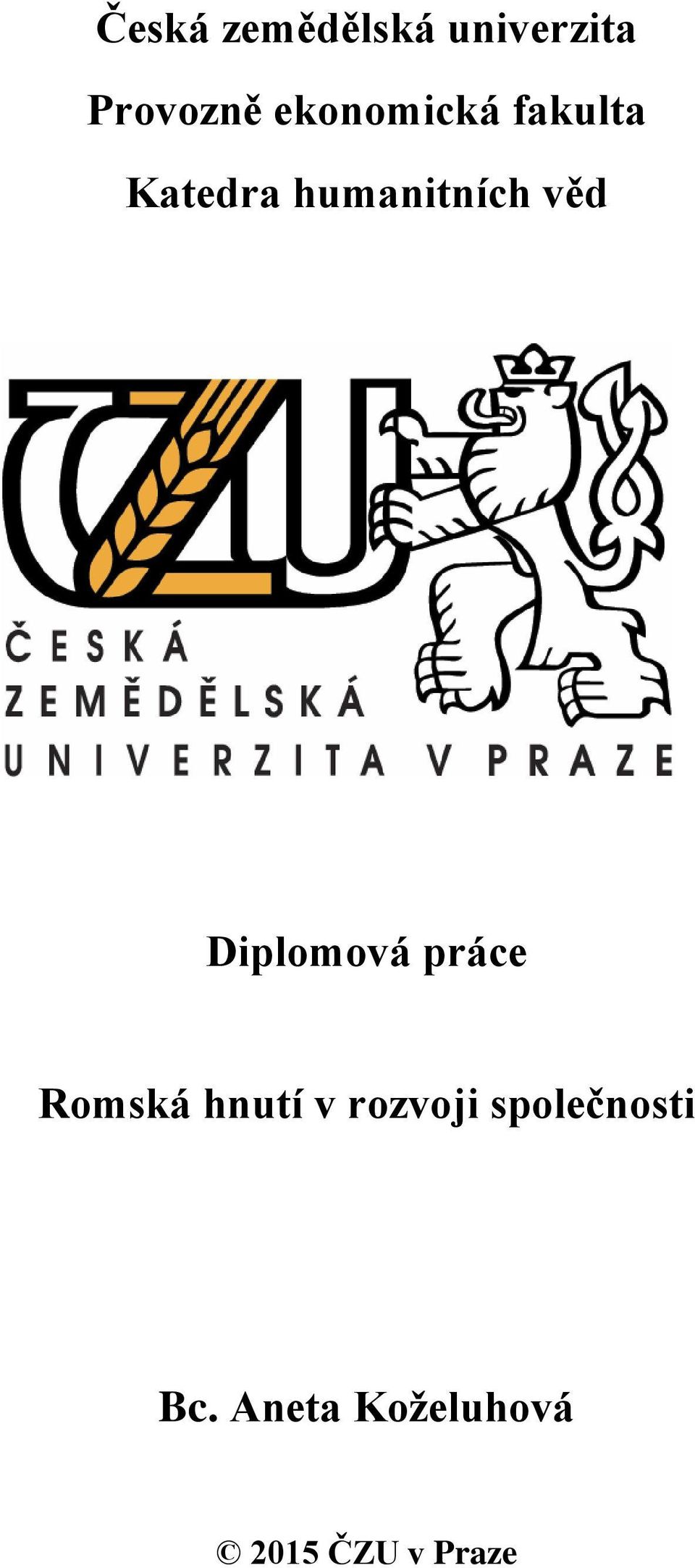 věd Diplomová práce Romská hnutí v