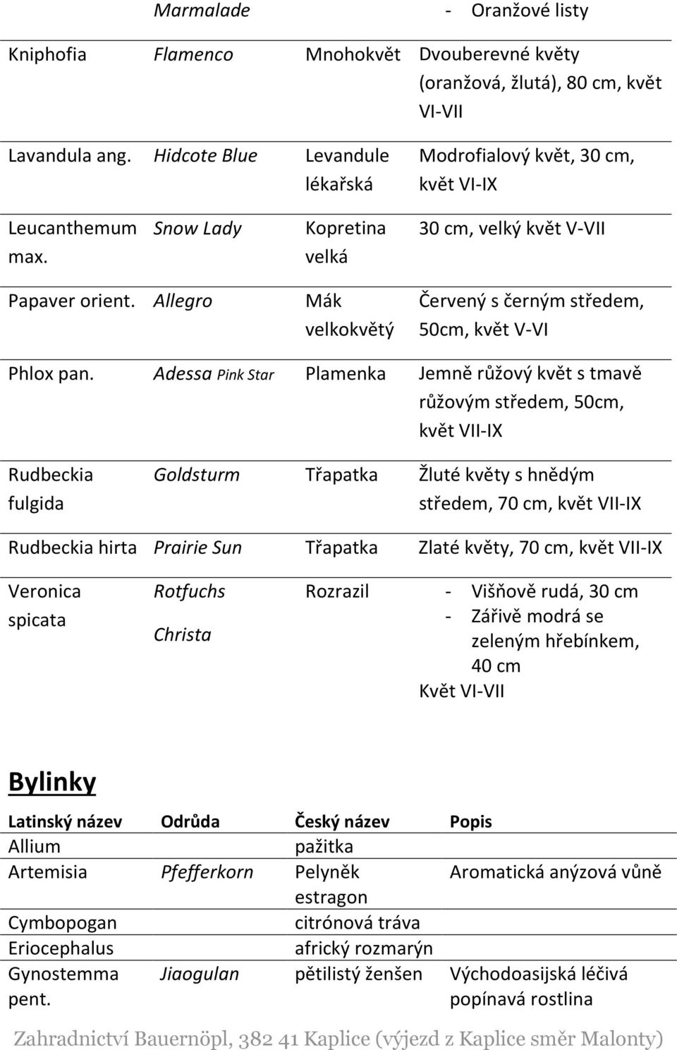 Allegro Mák velkokvětý Červený s černým středem, 50cm, květ V-VI Phlox pan.