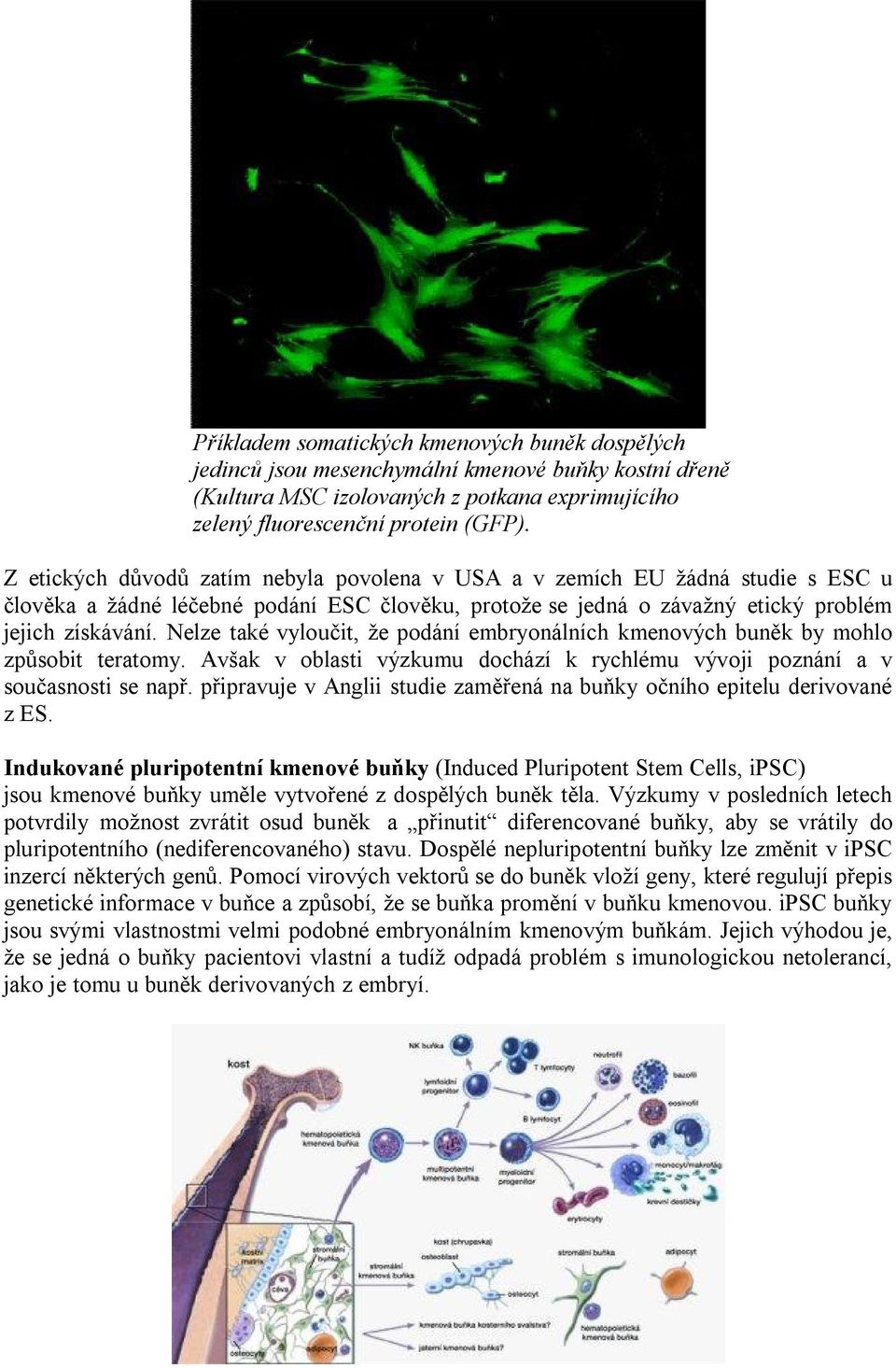 Nelze také vyloučit, že podání embryonálních kmenových buněk by mohlo způsobit teratomy. Avšak v oblasti výzkumu dochází k rychlému vývoji poznání a v současnosti se např.