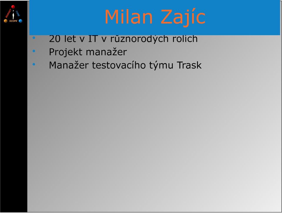 rolích Projekt manažer